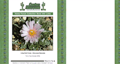 Desktop Screenshot of cactusmuseum.com